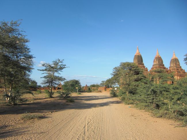 名もなきバゴタがたくさん見受けられます。一説によると、王様や金持ちが自己権威欲を見せる手段のひとつとしてバガタが流行ったそうです。現代の車やブランド物なんかと本質は変わってないのでしょうか？