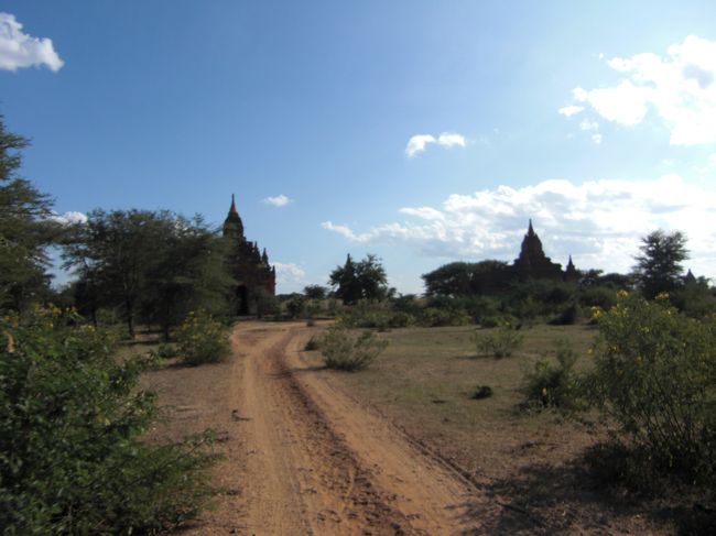 太陽をさえぎるものは何もありません。日差しが痛いです。