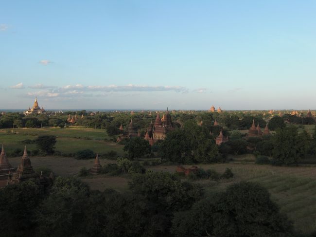 どこもかしこもバゴタがたたずんでいます。