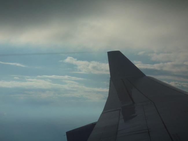 頼むから無事に着陸してくれという願いとともに高度を上げていくA-330<br />