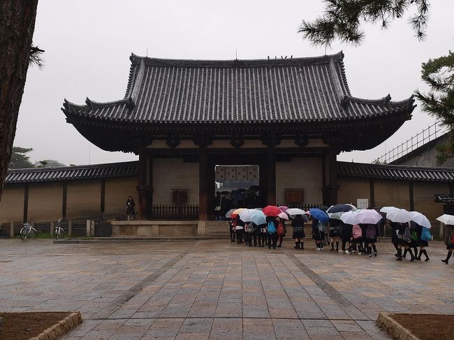 　雨　修学旅行の学生さん<br /><br />昨年の後輩たちと同行の修学旅行を懐かしく思い出し。<br /><br />修学旅行同行記<br />http://4travel.jp/traveler/jiiji/album/10245687/