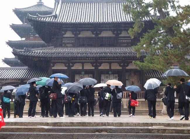 大和路　いかるがの里　法隆寺<br /><br />世界最古の木造建築<br /><br />奈良に都を造る前から「斑鳩の宮」として存在<br /><br />　現代にその姿を一部残す法隆寺<br /><br />飛鳥から法隆寺へ聖徳太子が通われていた太子道も残されて。<br /><br />　生徒達はその事を何処まで理解してくれているでしょう。