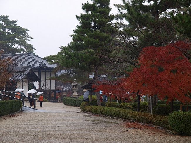 歴史論争　建造年代研究も色々ですが<br /><br />　　その事もですが、、<br /><br />　聖徳太子の事　仏教の事を思い　当時の職人さんを思い<br /><br />唐招提寺さんとは違った心に響くお寺さんです。<br /><br />個人的に初めて訪れた私の歴史にも貴重なお寺さんです。