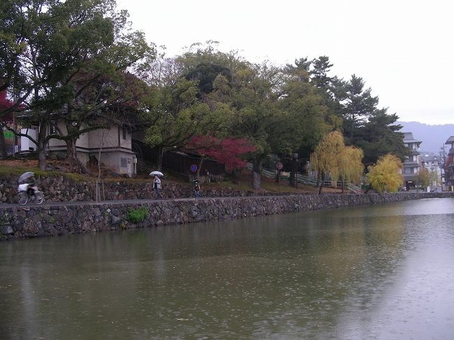 途中　雨の猿沢池<br /><br />関連旅記<br />修学旅行同行記　奈良駅へ<br />http://4travel.jp/traveler/jiiji/album/10246533/
