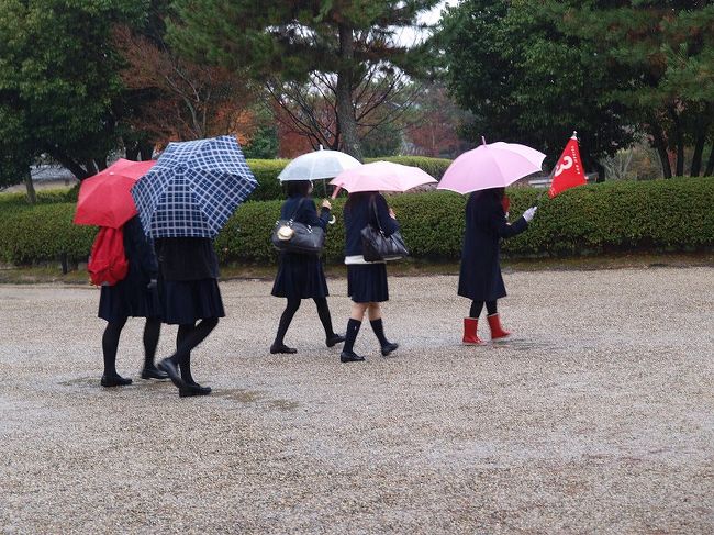 　雨。。雨。。。