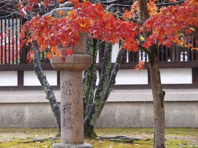 　　雨に濡れた紅葉