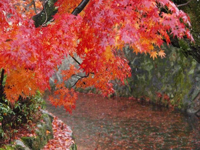 弁天池、、紅葉、、