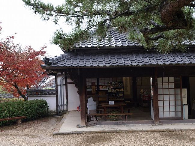 先程は数人のお客さん居たのですが<br /><br />　もう誰も　<br /><br />　　　普通なら此方まで来る人は少ない