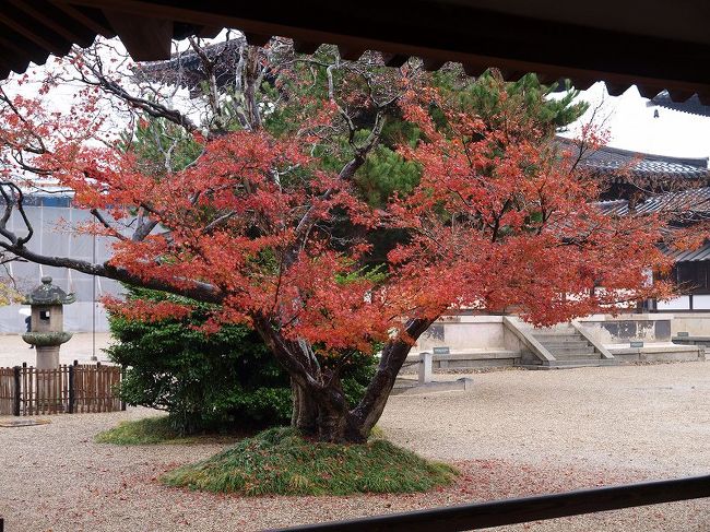 拝観料を払い　回廊から