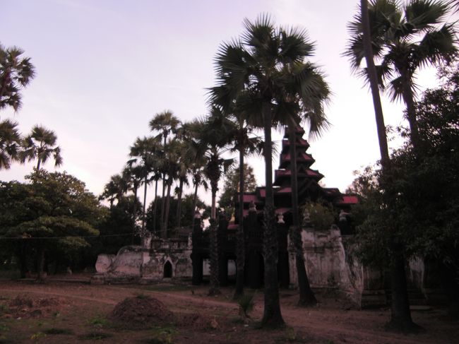 ヤシの木とのコントラストが非常に南国っぽいです。