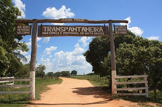 さあいよいよパンタナール体験記の始まりです。