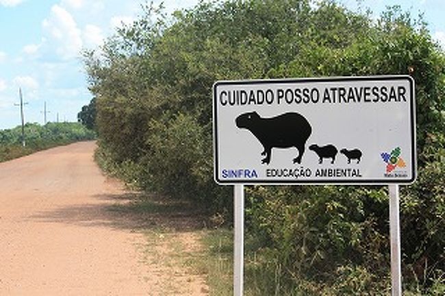 「カピパラ注意！！」の看板です。日本では絶対ない看板です。