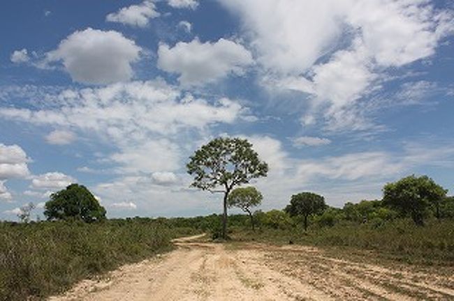 間もなくホテル到着です。パンタナール横断道路からやく５ｋｍ中に入ったところにあります。