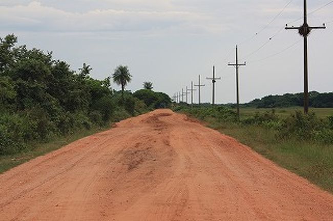 トラックに乗ってサファリにも出かけました。