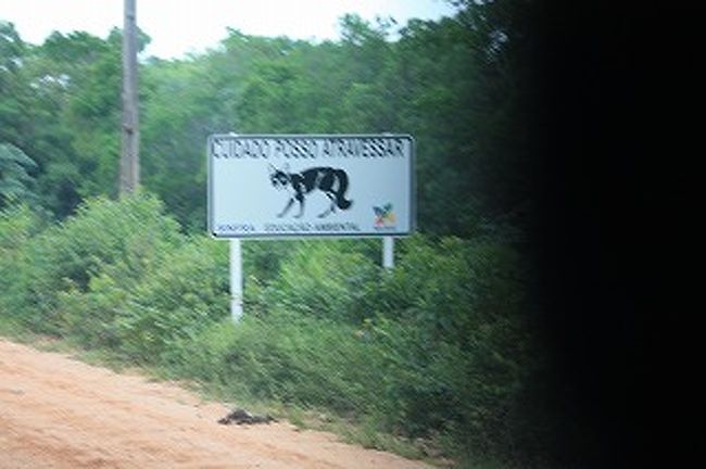 今度は何注意だろう？　そのほか猿注意などもあります。猿もたくさんいました。