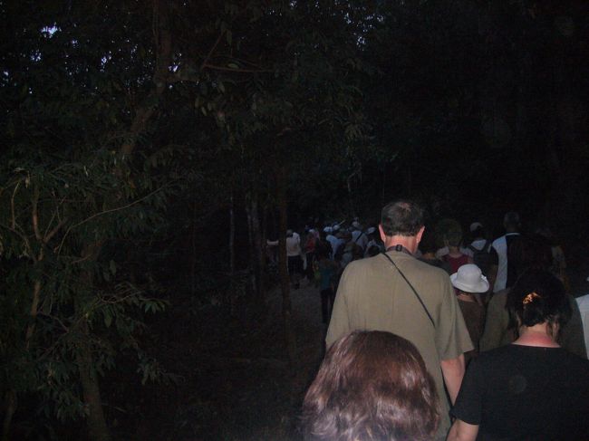 帰ろう<br /><br /><br />ぞろぞろ