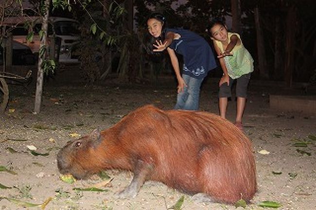 こうやって比べるとでかいのがわかります。