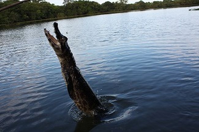 バクゥ！！！！！！！！