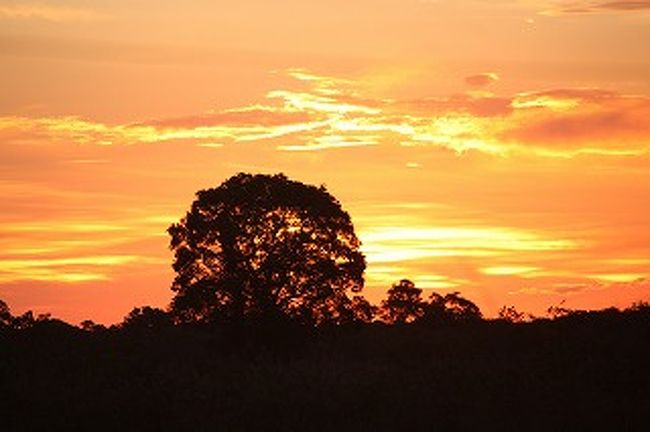 １日の終わりはきれいな夕日です。