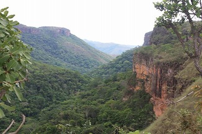 人に発見されるまではきっと静かだったろう。