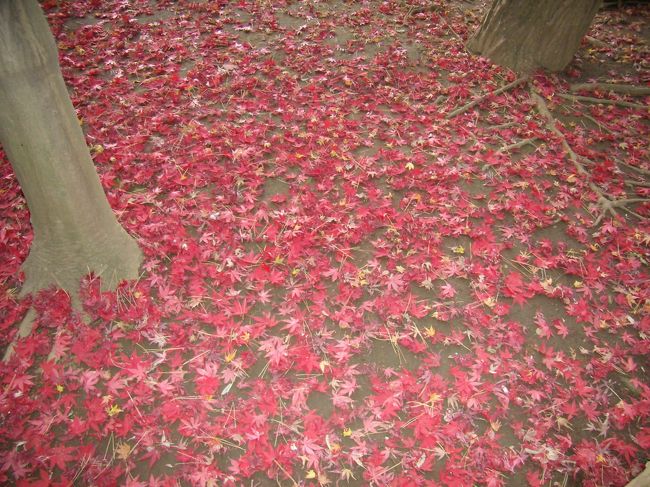 そろそろ<br />こんな風に