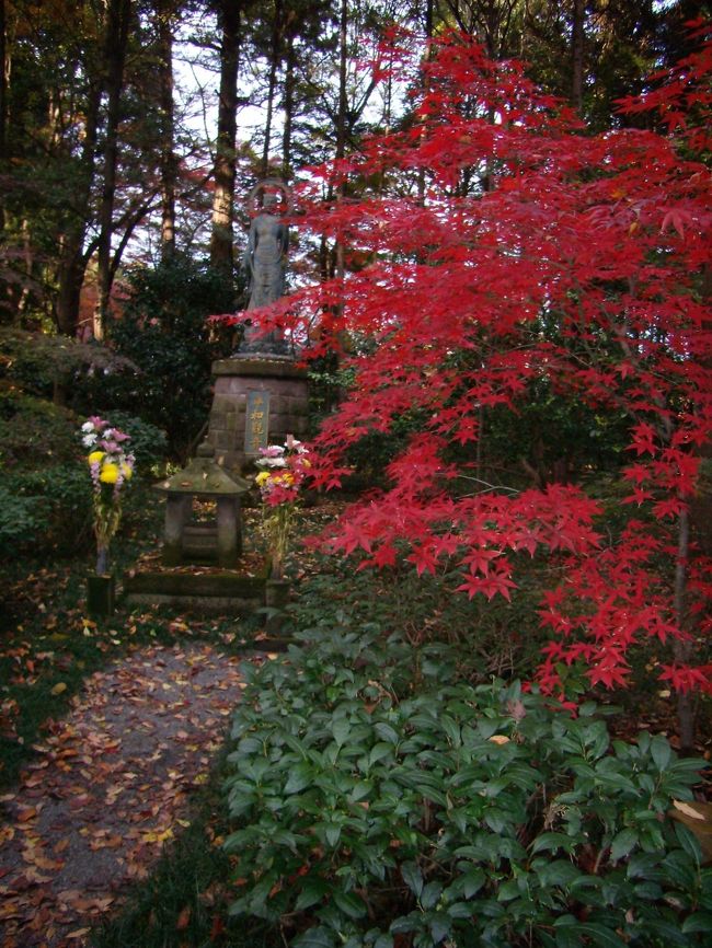 この平和観音の前から<br />ちょこっと順路を外せば<br />　<br />人には知れずこっそりと立つ<br />一本のイチョウの木に<br />対面することとなれ