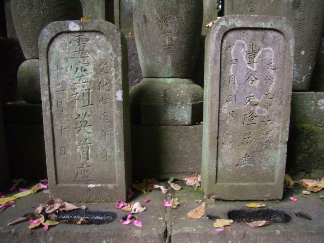 文化５年（1808）間宮林蔵が樺太探検に<br />出かけた年<br />元冶元年（1864）は池田屋事件やら<br />長州征伐やらそろそろ幕藩体制の終末期<br />　<br />以上お墓その2とその3