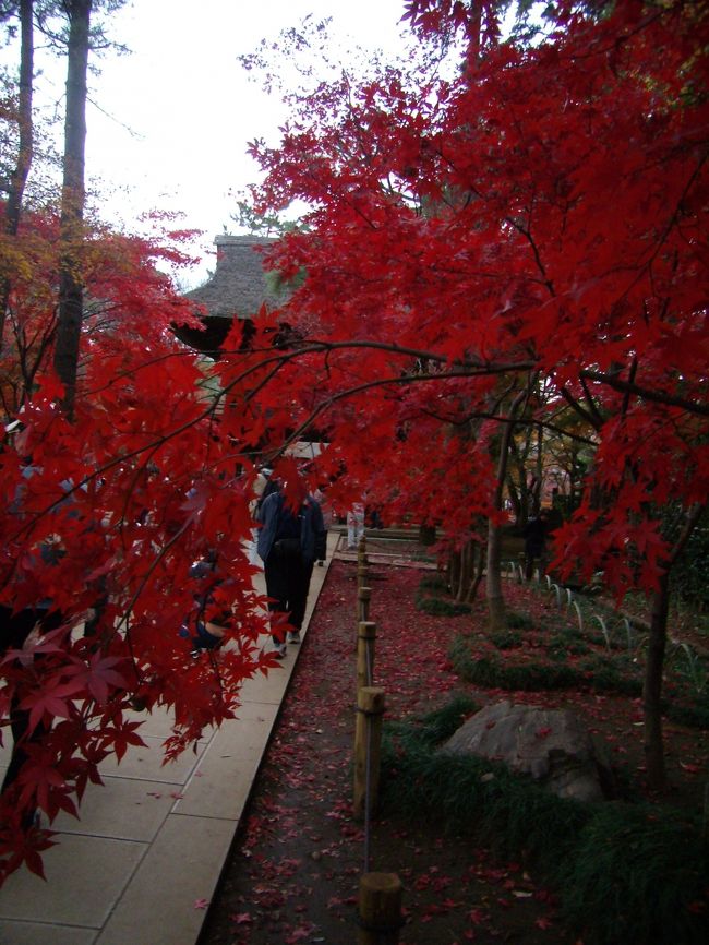 やうやう陽もかたぶき西に紫雲たなびき<br />異香境内に満ち、妙なる音楽の天空より<br />聞こえたれば<br />練馬の材木屋「平林寺」をドタドタとば<br />引きにケ−リ−−（ドタドタしたのは山門の<br />カマチに足をひっかけけっつまずいたため<br />なるけん）