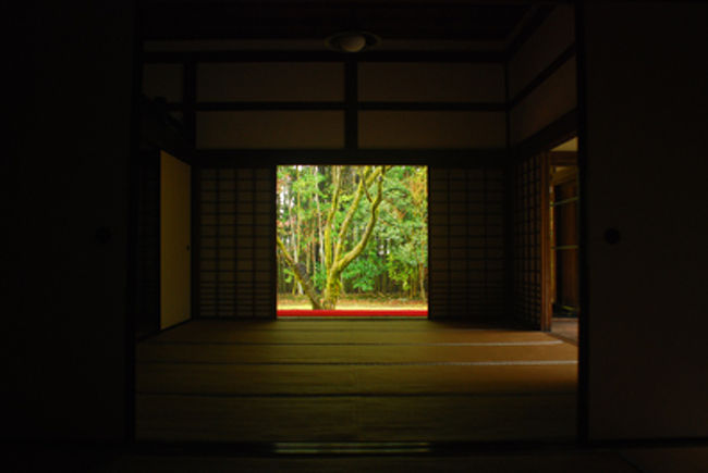 高桐院の中から。<br /><br />外とは違う、高貴な空気。