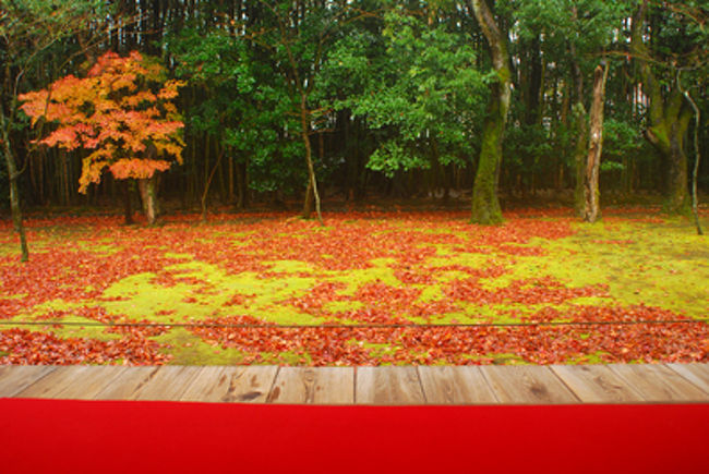 縁側にて。<br /><br />芝生に橙の紅葉が降るさまは、ずっと見ていても飽きない。<br /><br />縁側に腰掛ける人が多いから、なかなか赤いじゅうたん？を入れて庭の撮影ができないんだけど<br /><br />撮りたければ待つべし！<br />チャンスは必ず訪れます。