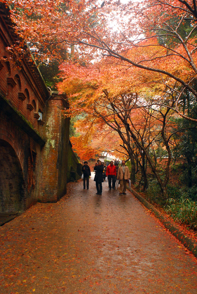 南禅寺のわき道。<br /><br />空を見上げても橙色の紅葉が敷き詰まっているし<br />橋？が橙色だし<br />紅葉で敷き詰められた地面も橙色。