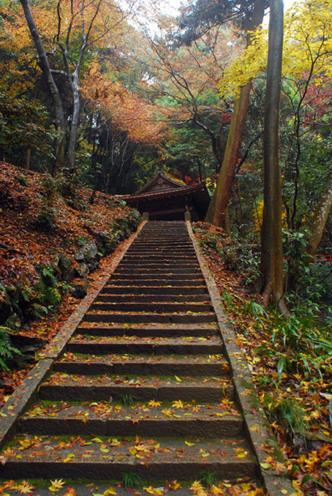 木々の中を進むと　階段が見えた。<br />その上には　建物が見えた。<br /><br />この建物の脇には細い滝が流れていて<br />建物は　お参りをする場所。<br /><br />赤い橋がかかっていて、そこを渡ると建物に行くことができる。<br /><br />そして、さらに階段があり、登った先には洞窟があった。<br /><br />入り口にはぼろぼろな机。<br />受付にありそうな机だったから<br />昔はここも観光用の場所だったのかな。<br /><br />写真は　撮れなかった。<br />なんだか怖くて。<br />撮っちゃいけないきがして。