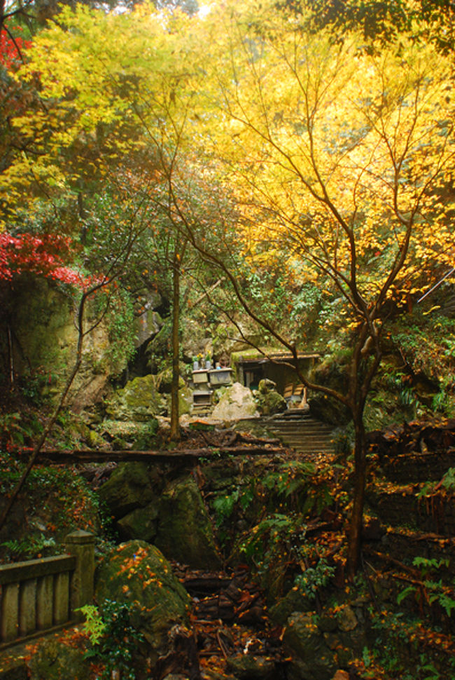 緑に囲まれた山道。<br /><br />紅葉する木が並んでいるんじゃなくて<br />色んな木の中、紅葉する木がいた。<br /><br />道の脇には小さな石碑が。