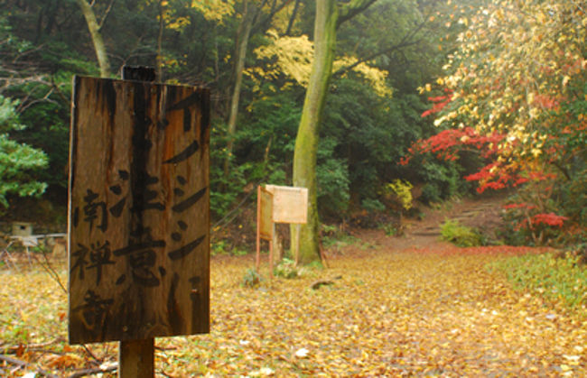 脇道を上がっていくと墓地があり<br />その奥に「イノシシ出没注意」の看板が。<br /><br />南禅寺付近はイノシシがよく出るらしいんだけど<br />こんな看板が立っていると生々しすぎて　びっくりしてしまう。<br />