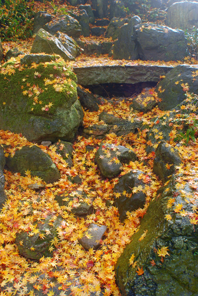 南禅寺のわき道。<br /><br />石+紅葉って　情緒ある！