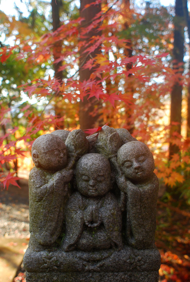 永観堂から降りてくるといる「和み地蔵」。<br /><br />かわいい〜！の声があちこちから聞こえた。<br />ほんと、かわいい！
