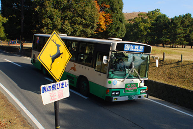 鹿注意の標識があちこちにかかる。<br /><br />バスにも鹿のイラストが。<br /><br />動物が人々に暮らしの一部って、いいなあ。