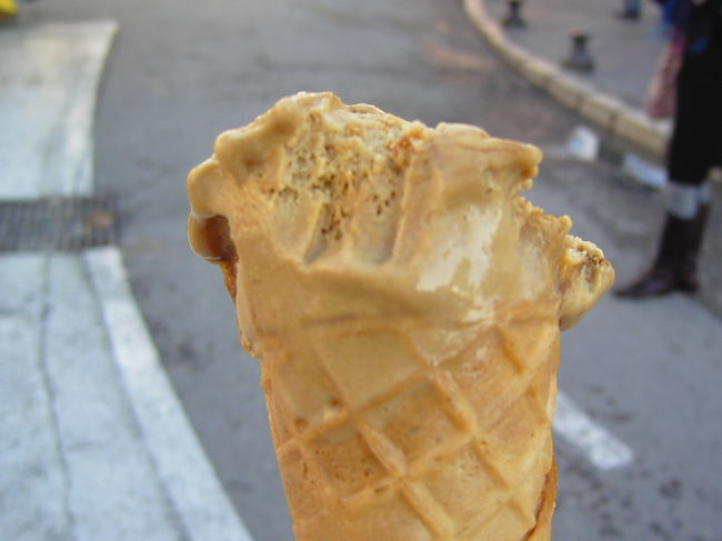 汚い写真ですいません！！<br /><br />レストランの後ジェラートをそれぞれ購入。<br />私はフルーツソルベが好きなのでアプリコットを。<br /><br />相方は何やら一生懸命悩んで聞いたことないものを選んでいた。<br /><br />その名はreglisse。<br />（答えは後ほど）<br /><br /><br />・・・あまりおいしくなかった。