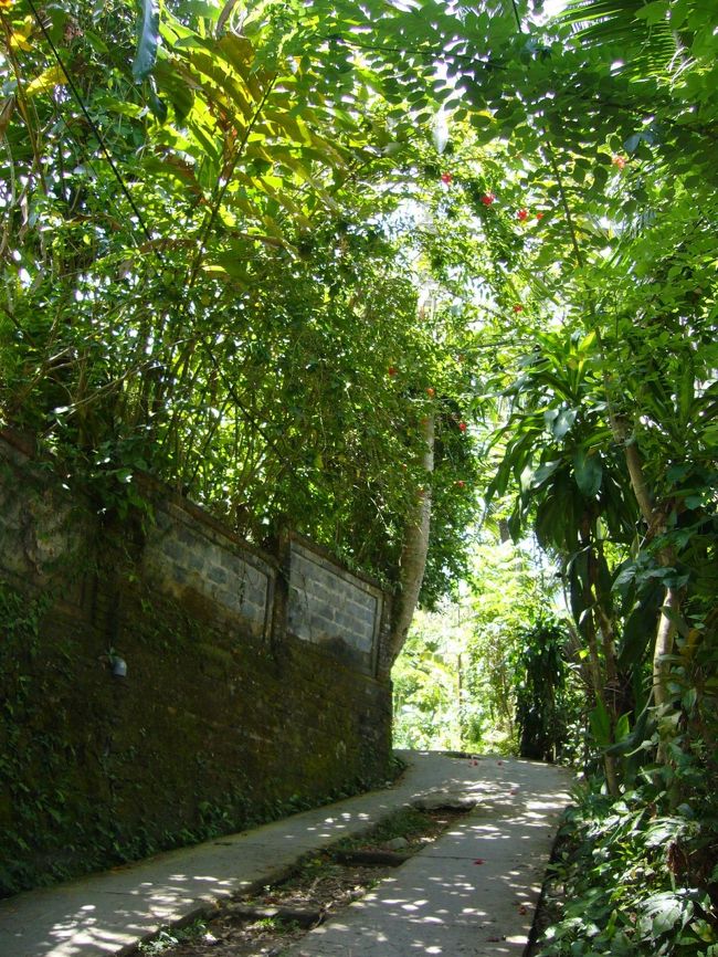 ウブドの街中に戻る前の小さな路地を探検。<br />自転車を置いて、少し歩いてみることにします。<br /><br />すると見えてきたのは…　