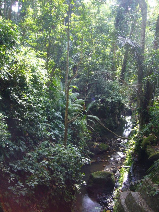 内部は公園みたいなつくり。<br />マイナスイオンあふれる中、Jalan Jalanしながら、森林浴。<br />空気がおいし！癒されますねー。