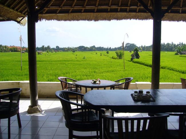 サイクリングして汗かいちゃったので、ちょっと休憩。<br />田んぼが見渡せるカフェ。ウブドにはこんなお店が結構あります。
