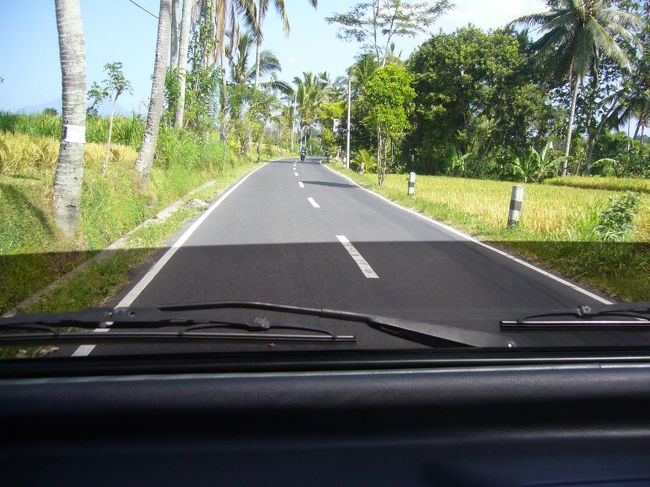 今日は、ラフティングツアーに参加♪<br />ワゴン車でピックアップしてもらって、ラフティングが行われるアユン川までGO GO！