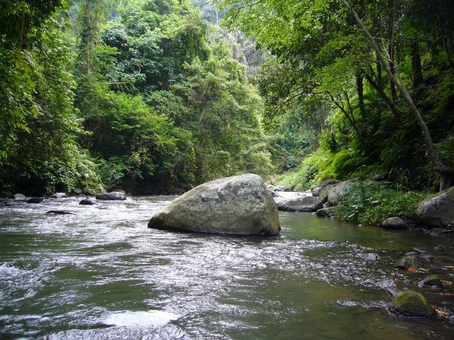 アップ×ダウンを繰り返す川の流れ。<br />途中の急流ポイントで岩に突っ込み、水の中にドボン！ずぶ濡れ。でも楽しい☆