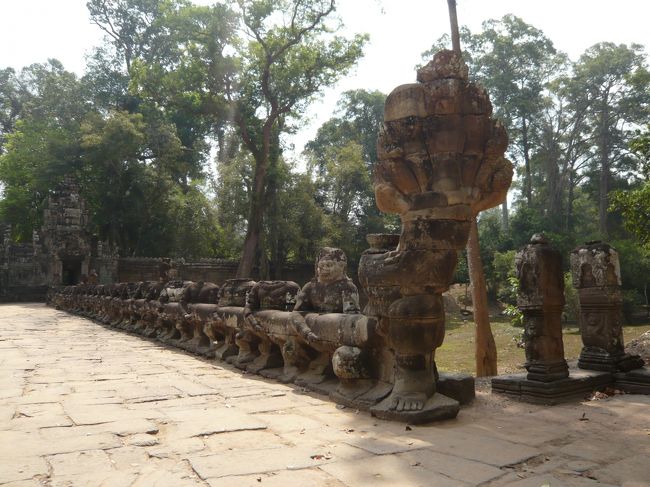 ナーガを引っ張ってます