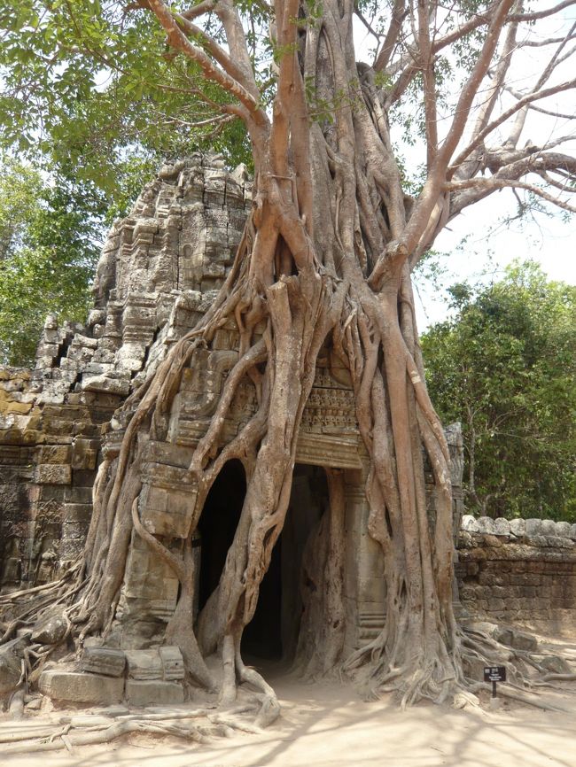 なぜこんなになったのか。。。