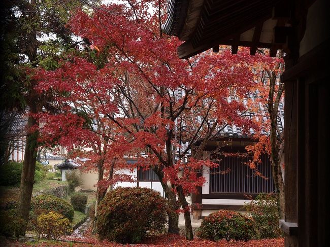 　　回廊　連子窓から紅葉