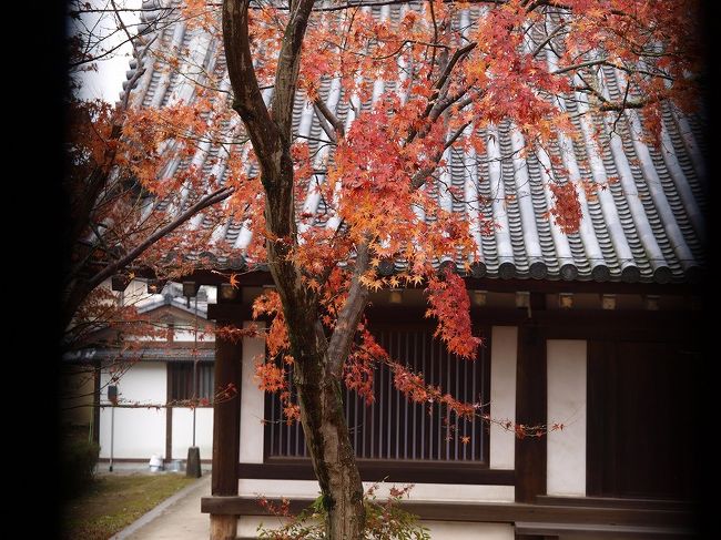同じく　連子窓から　小雨降る紅葉