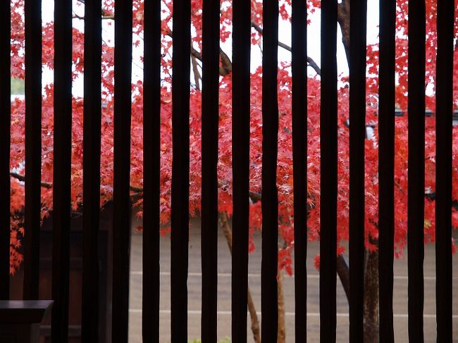 　　連子窓より、<br /><br />連子窓からばかり美しいな紅葉が見える。<br /><br />それぞれ近くに行けないので。<br /><br />連子窓からしか映せない