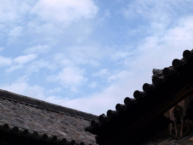 やっと雨もやみ青空が見えて来ました。