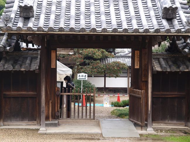　　中宮寺さん